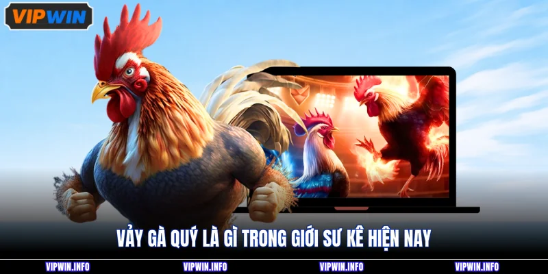 Dạng Vảy Gà Quý Thường Xuất Hiện Ở Chiến Kê Đá Cực Hiểm 2 Vảy gà quý là gì trong giới sư kê hiện nay